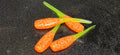 2" Slayer Plastics (Pack of 10)